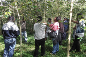Field visit to a coffee growing area in Bena Bena on the third day of the workshop