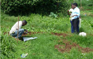 Crawford Fund training participants collecting samples