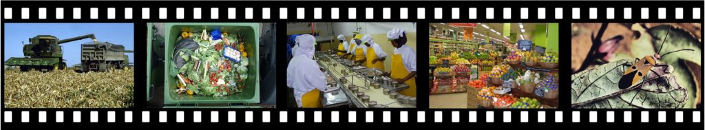 Filmstrip First5_no border